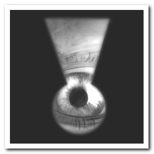 Hidden Cameras Found in Airbnb Rentals